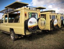 our Safari Vehicles -